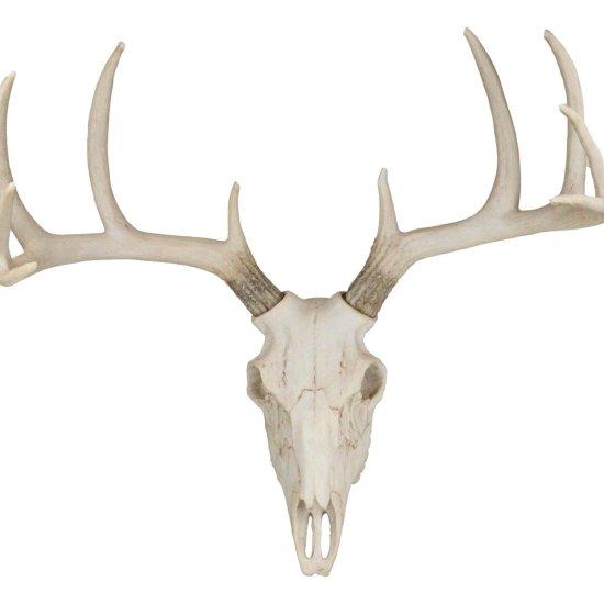 Geyik Kafası Dekor