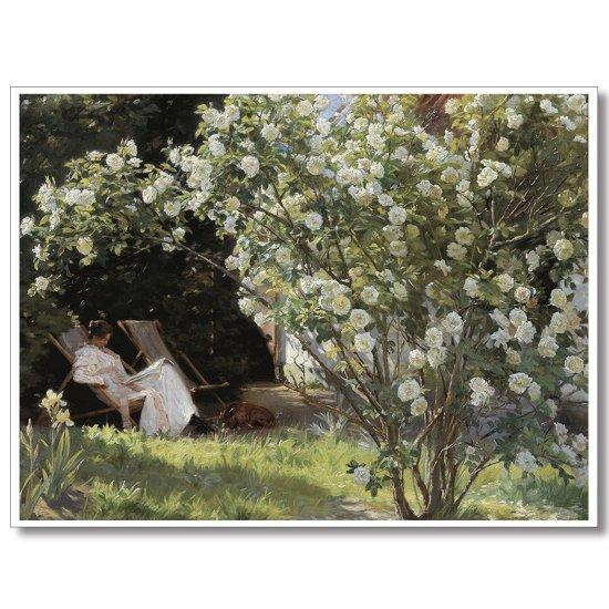 Gül Bahçeleri Resmi