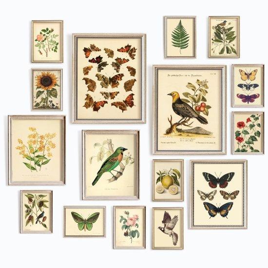 Gül Bahçeleri Resmi