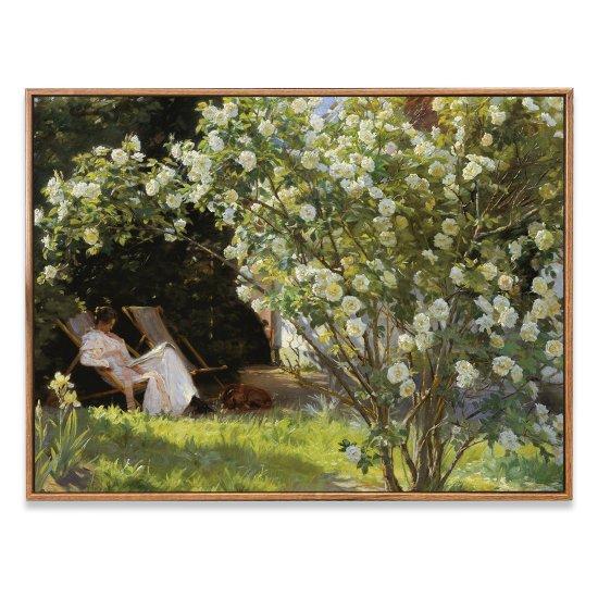 Gül Bahçeleri Resmi