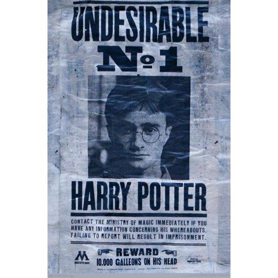 Harry Potter Afiş
