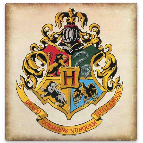 Harry Potter Afiş