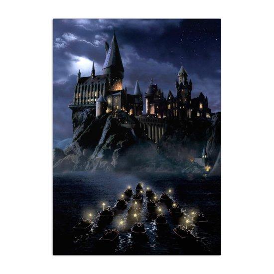 Harry Potter Afiş