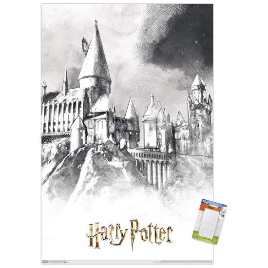 Harry Potter Afiş