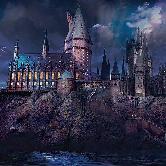 Harry Potter Afiş