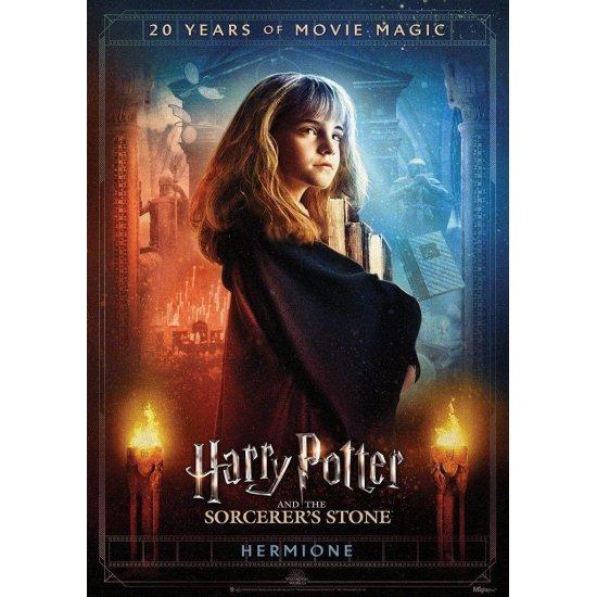 Harry Potter Afiş