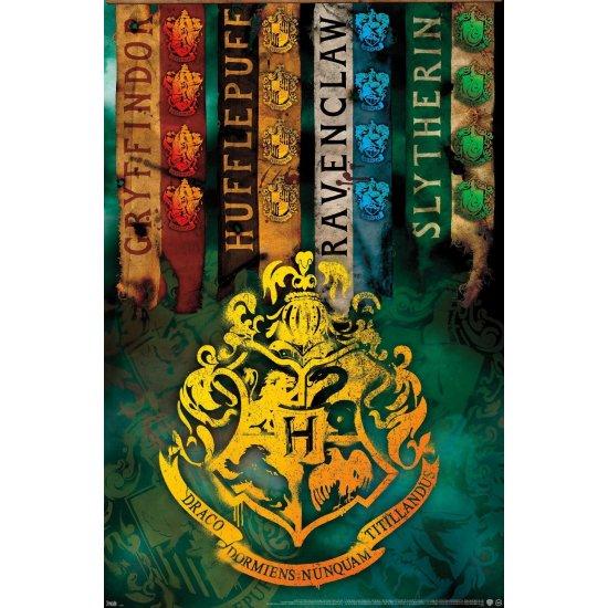 Harry Potter Afiş