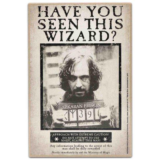 Harry Potter Afiş