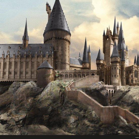 Harry Potter Afiş
