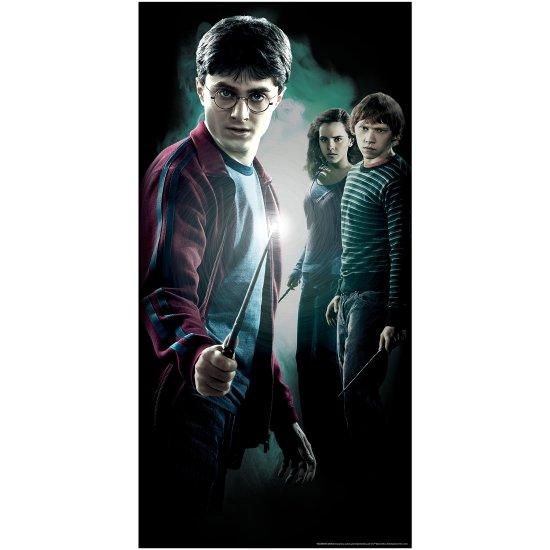 Harry Potter Poster