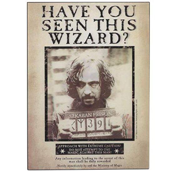 Harry Potter Poster
