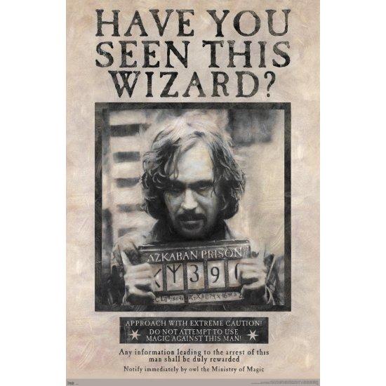 Harry Potter Poster