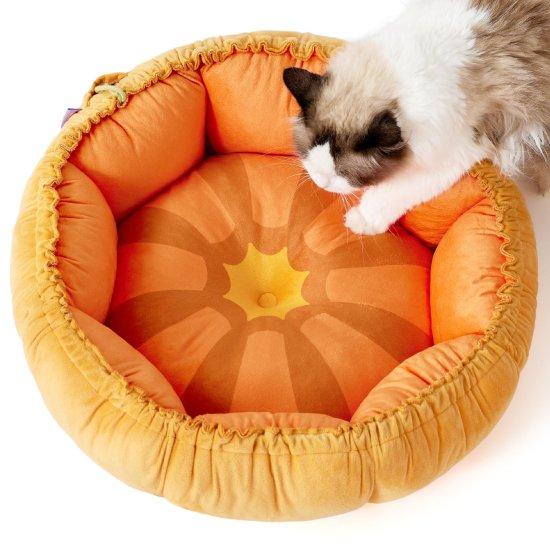 Kedi Sepeti