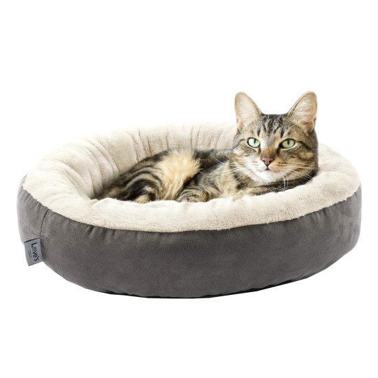 Kedi Sepeti
