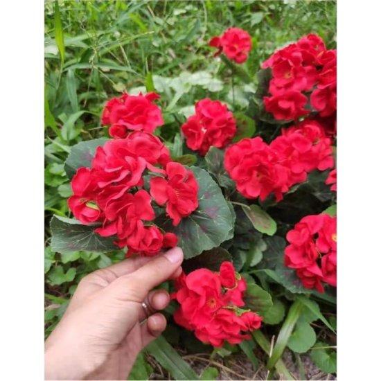 Kırmızı Frenk Gülü Yapay