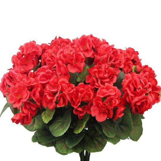 Kırmızı Sardunya Yapay