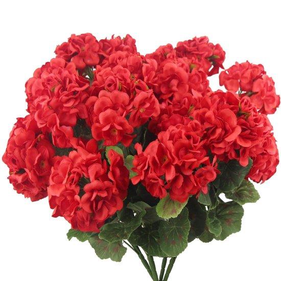 Kırmızı Sardunya Yapay