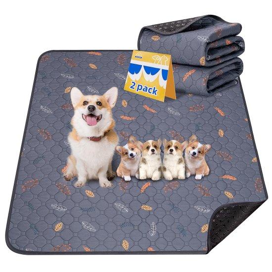 Köpek Paspası