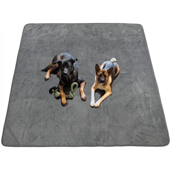 Köpek Paspası