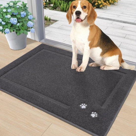 Köpek Paspası