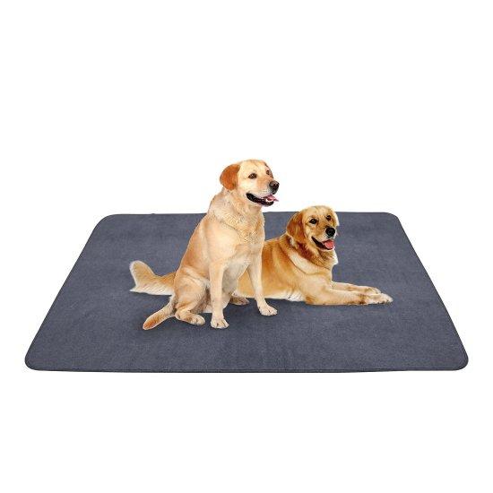 Köpek Paspası