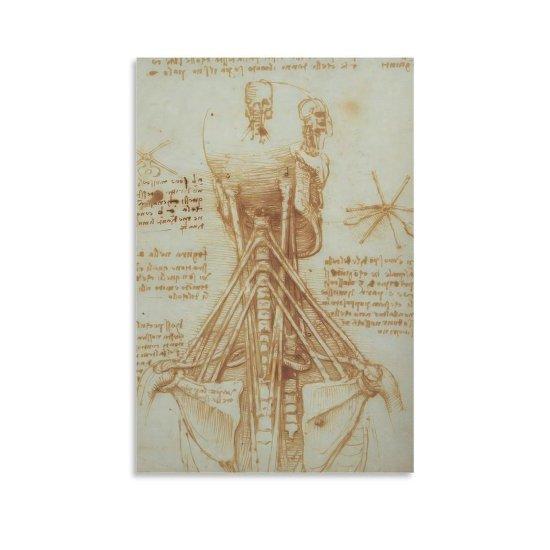 Leonardo Da Vinci Anatomist