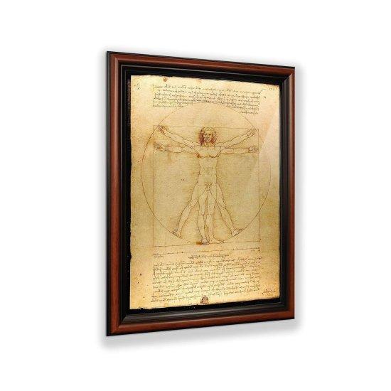Leonardo Da Vinci Anatomist