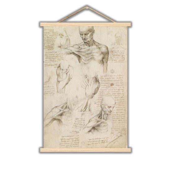 Leonardo Da Vinci Anatomist