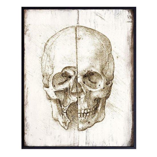 Leonardo Da Vinci Anatomist