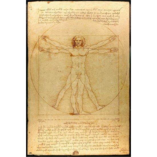 Leonardo Da Vinci Anatomist