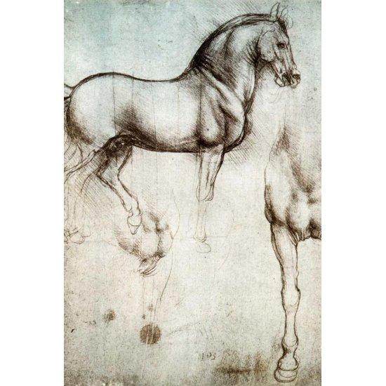 Leonardo Da Vinci Anatomist