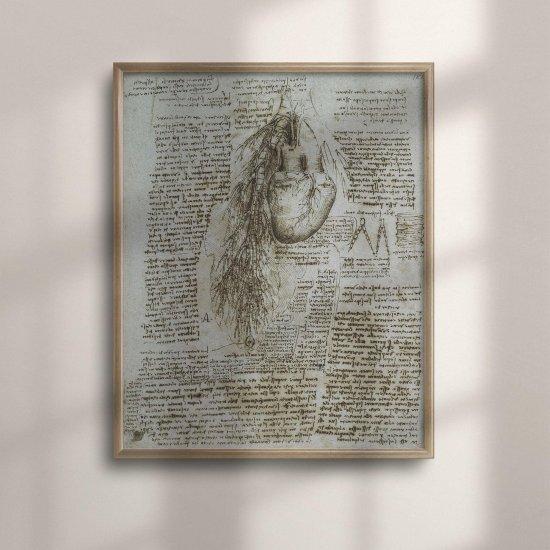 Leonardo Da Vinci Anatomist