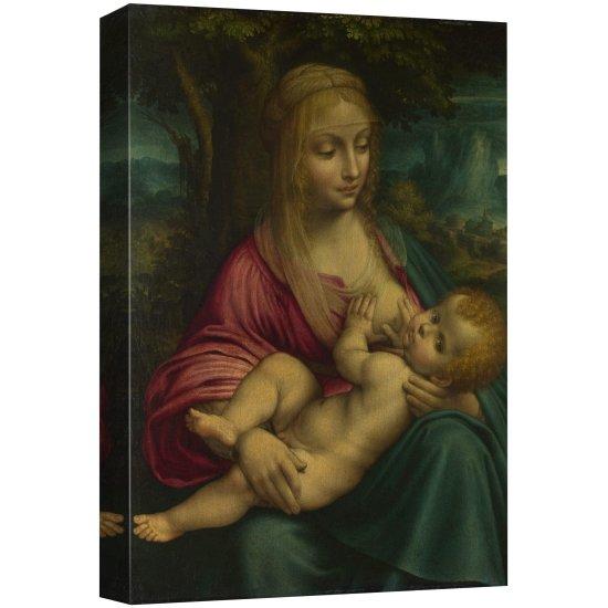 Leonardo Da Vinci Resimleri