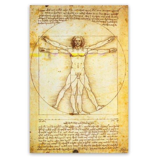 Leonardo Da Vinci Vitruvian Man