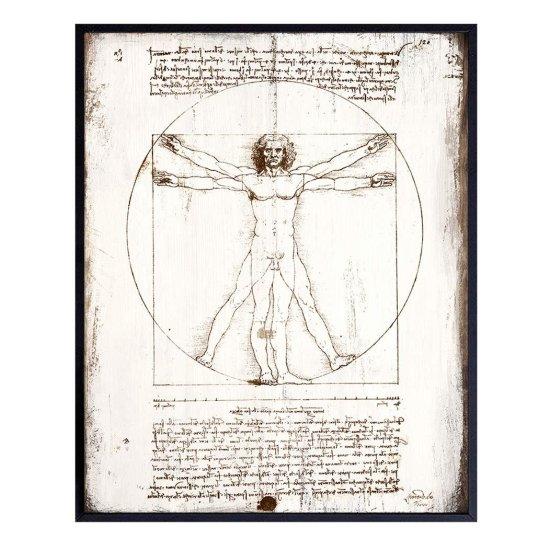 Leonardo Da Vinci Vitruvian Man