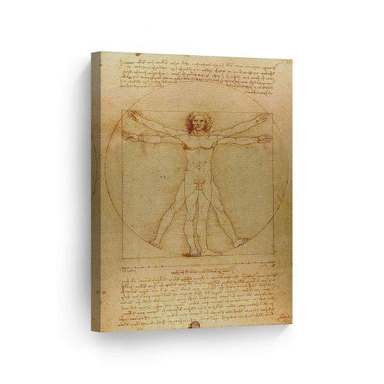 Leonardo Da Vinci Vitruvian Man
