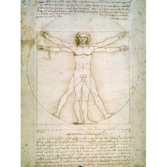 Leonardo Da Vinci Vitruvian Man