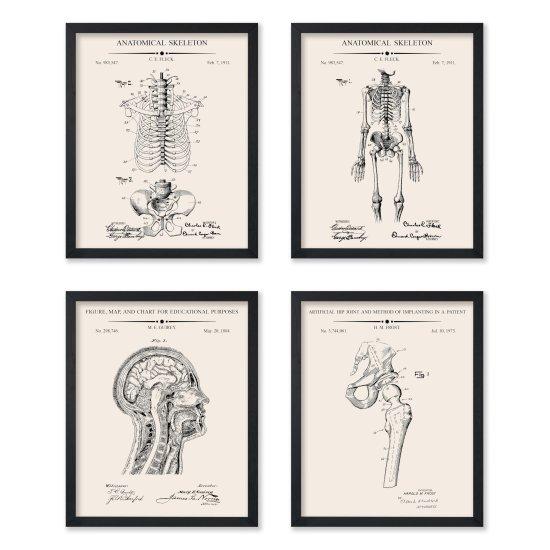 Leonardo Da Vinci Vitruvian Man