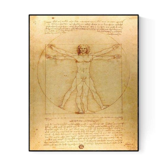 Leonardo Da Vinci Vitruvian Man