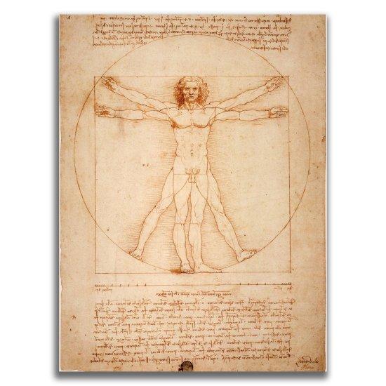 Leonardo Da Vinci Vitruvian Man