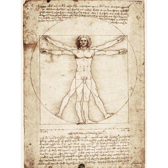 Leonardo Da Vinci Vitruvian Man