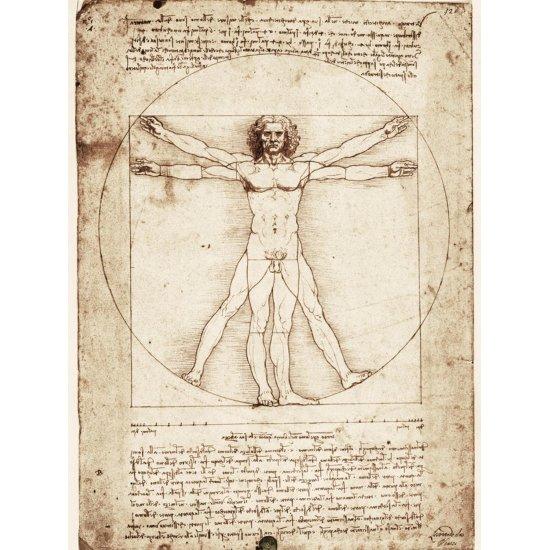 Leonardo Da Vinci Vitruvian Man