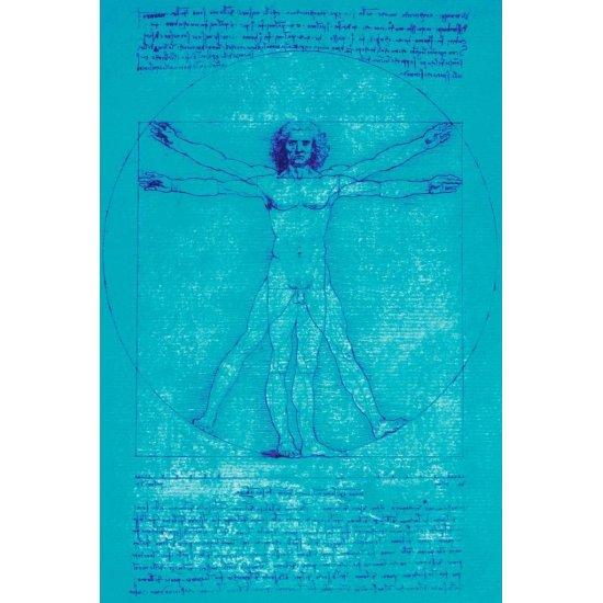 Leonardo Da Vinci Vitruvian Man