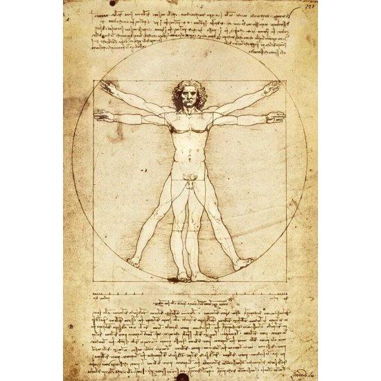 Leonardo Da Vinci Vitruvian Man