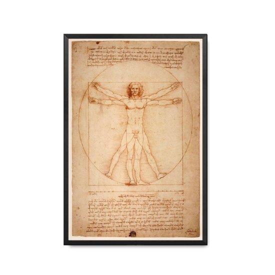 Leonardo Da Vinci Vitruvian Man