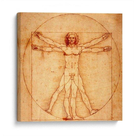 Leonardo Da Vinci Vitruvian Man
