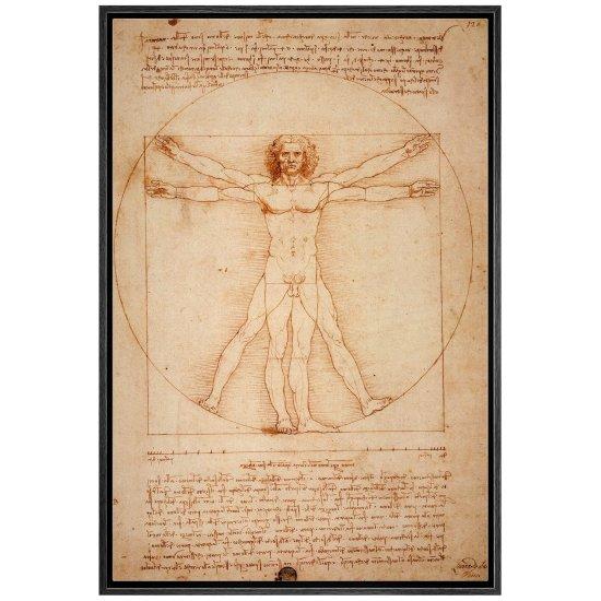Leonardo Da Vinci Vitruvian Man