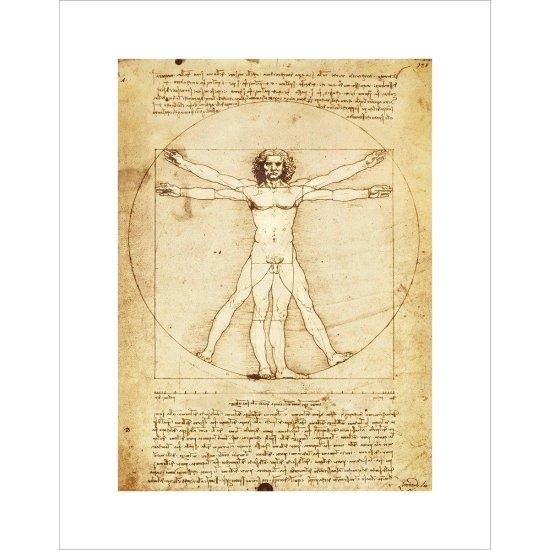 Leonardo Da Vinci Vitruvian Man