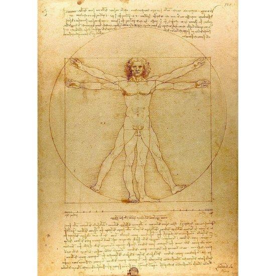 Leonardo Da Vinci Vitruvian Man