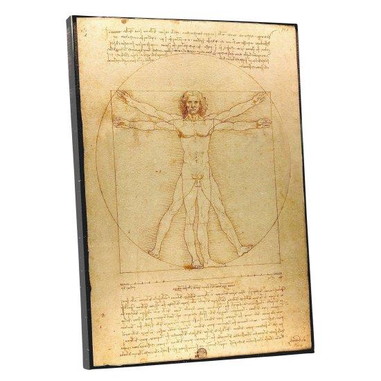 Leonardo Da Vinci Vitruvian Man